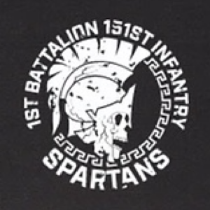1st Battalion 151st Infantry