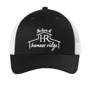 Mesh Back Adjustable Hat